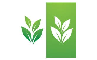 Green Leaf Nature Vector Logo Template V6