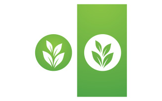 Green Leaf Nature Vector Logo Template V7