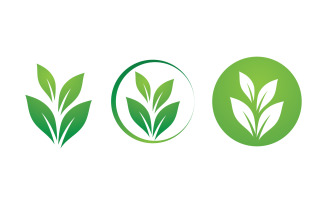 Green Leaf Nature Vector Logo Template V22