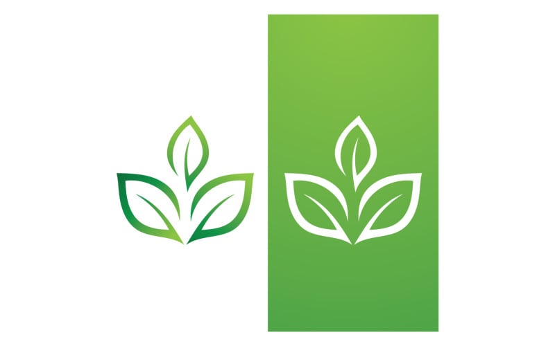 Green Leaf Nature Vector Logo Template V24