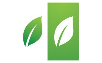 Green Leaf Nature Vector Logo Template V25