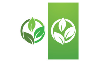 Green Leaf Nature Vector Logo Template V32