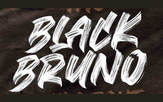 Black Bruno - Brush Display Font