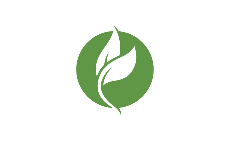 Leaf Green Logo Vector Nature Elements V13 Logo Template