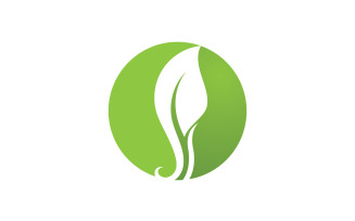 Leaf Green Logo Vector Nature Elements V37