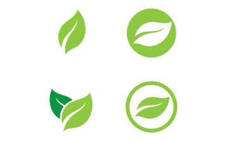Leaf Eco Green Nature Logo Vector V14