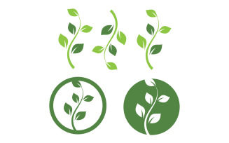 Leaf Eco Green Nature Logo Vector V17