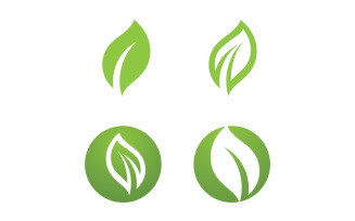 Leaf Eco Green Nature Logo Vector V2