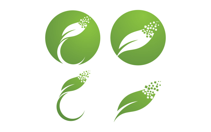 Leaf Eco Green Nature Logo Vector V6 Logo Template