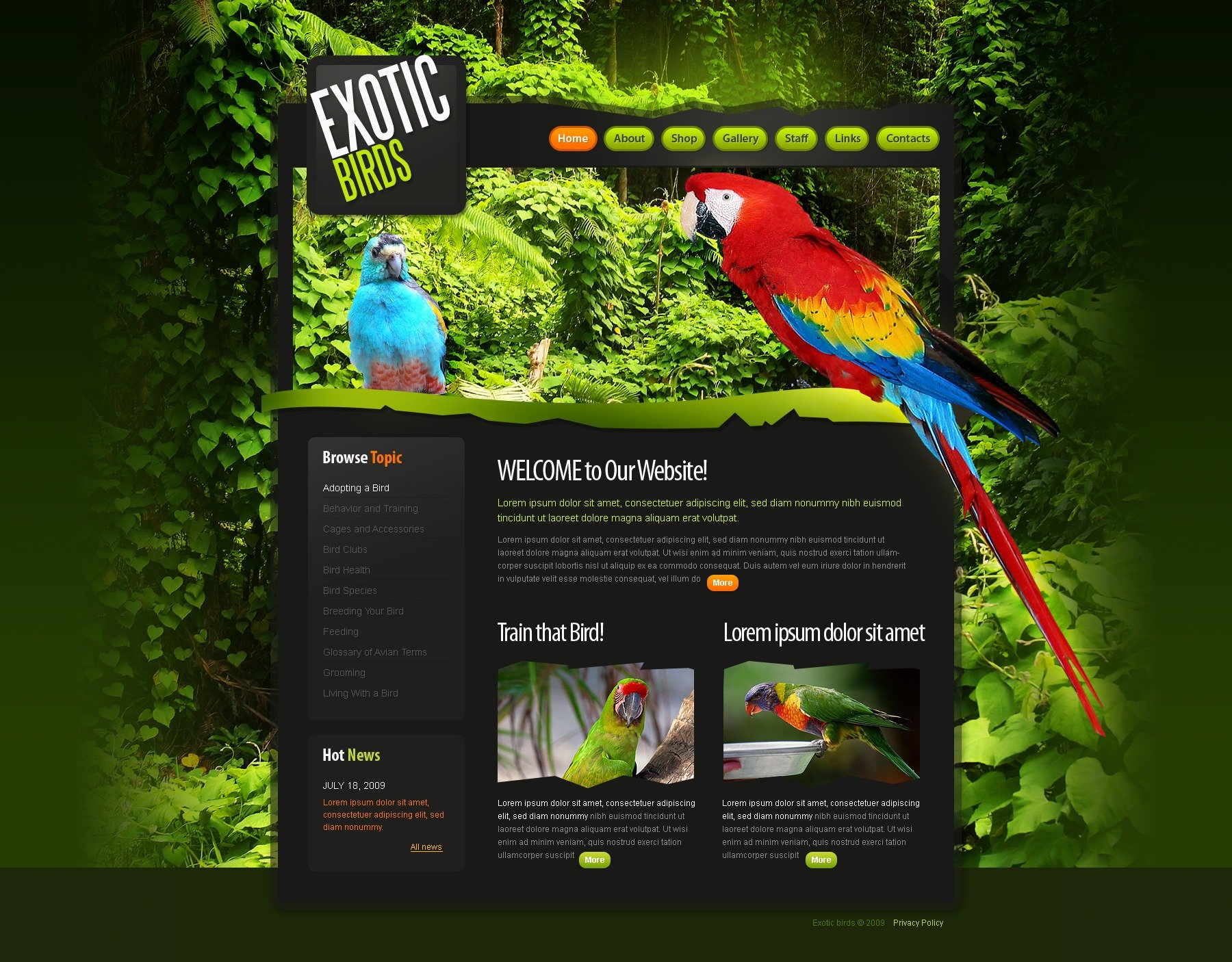 Birds Website Template #25270