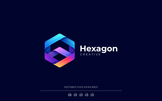 Hexagon Line Colorful Logo