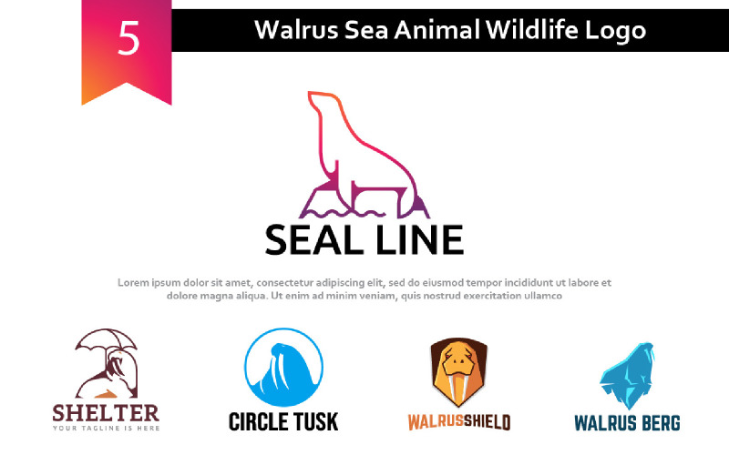 5 Walrus Sea Animal Wildlife Logo Logo Template