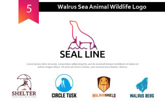 5 Walrus Sea Animal Wildlife Logo