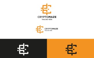 Professional Crypto Coin Maze Logo