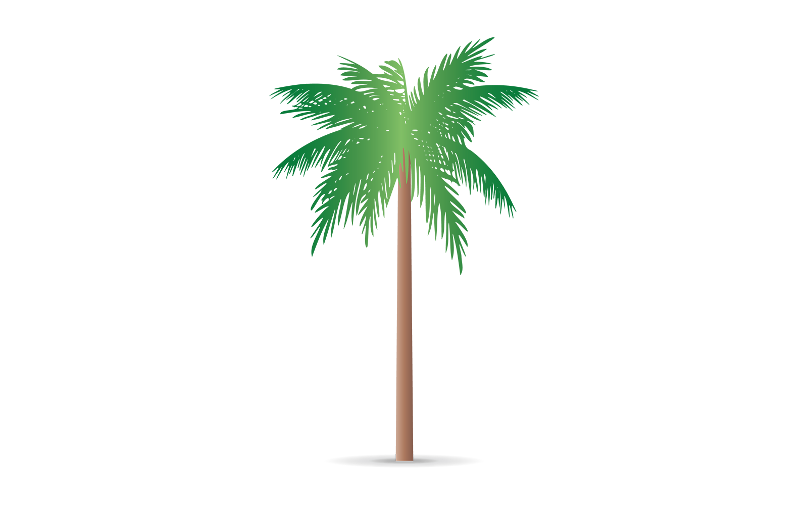 Kit Graphique #253808 Palm Tree Divers Modles Web - Logo template Preview