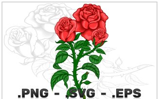 Vector Design Of A Rose Bouquet