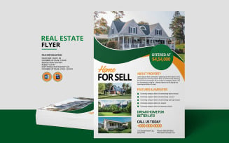 Real Estate Flyer Company Flyer