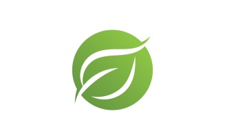 Green Leaf Nature Vector Logo Design Template V13