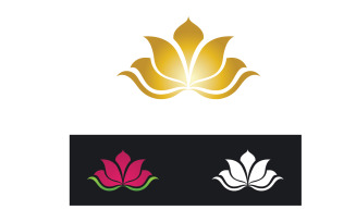 Vector Lotus Flower Logo And symbol V6