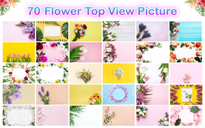 Flower Top View Picture Bundle Background