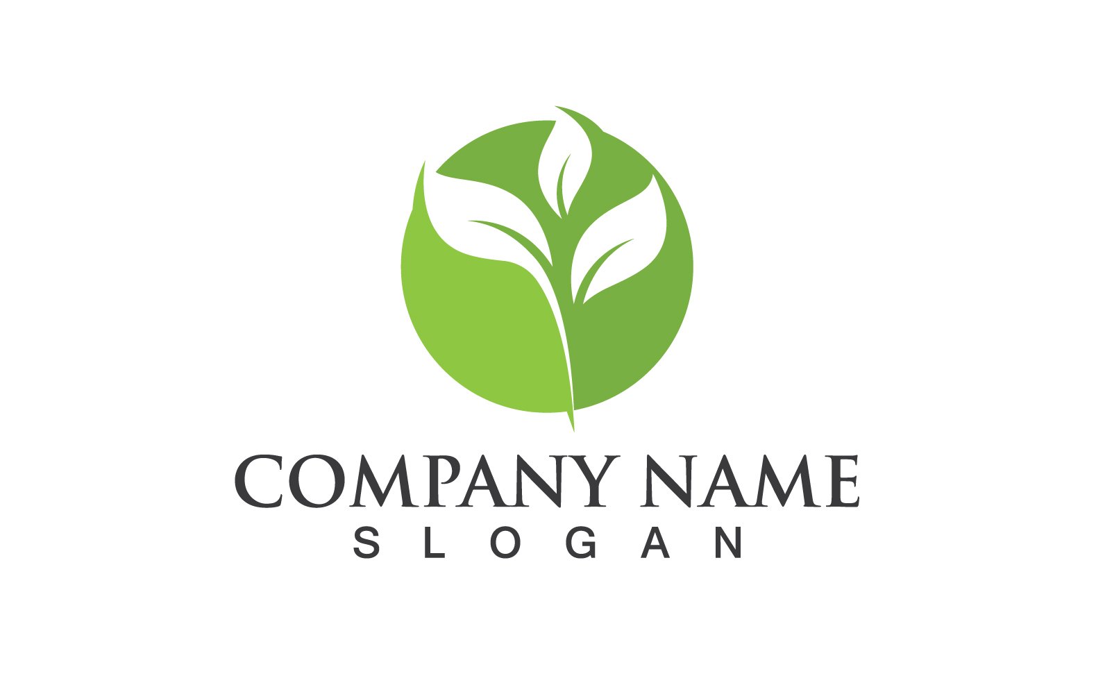 Template #256987 Logo Leaf Webdesign Template - Logo template Preview