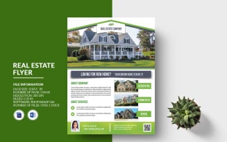 REal Estate Company Flyer