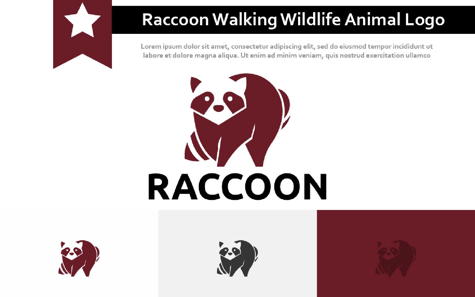 Kit Graphique #258906 Raccoon Walking Divers Modles Web - Logo template Preview