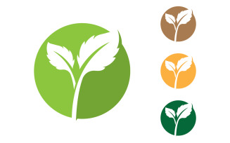 Green Tree Leaf Logo Nature Element Vector V5