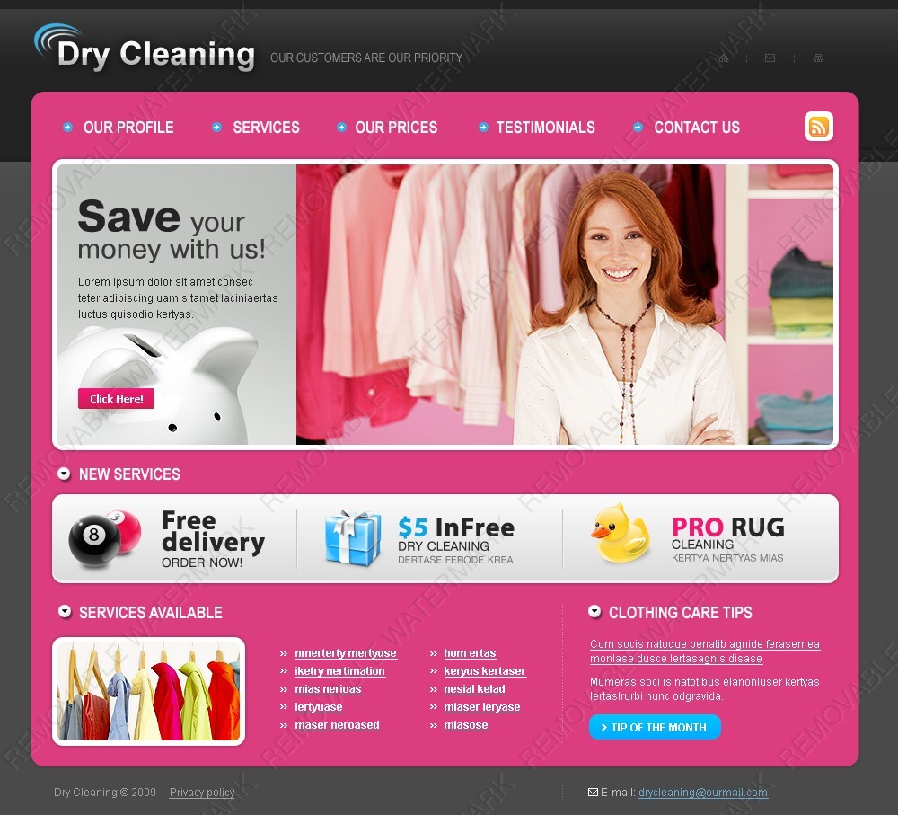 Dry Cleaners Website Template 26061 by WT Website Templates
