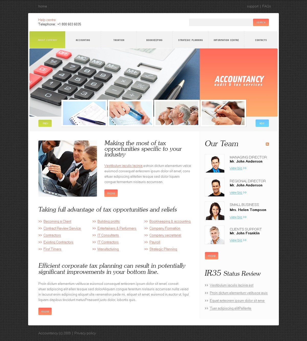 Accounting Website Website Template 26063