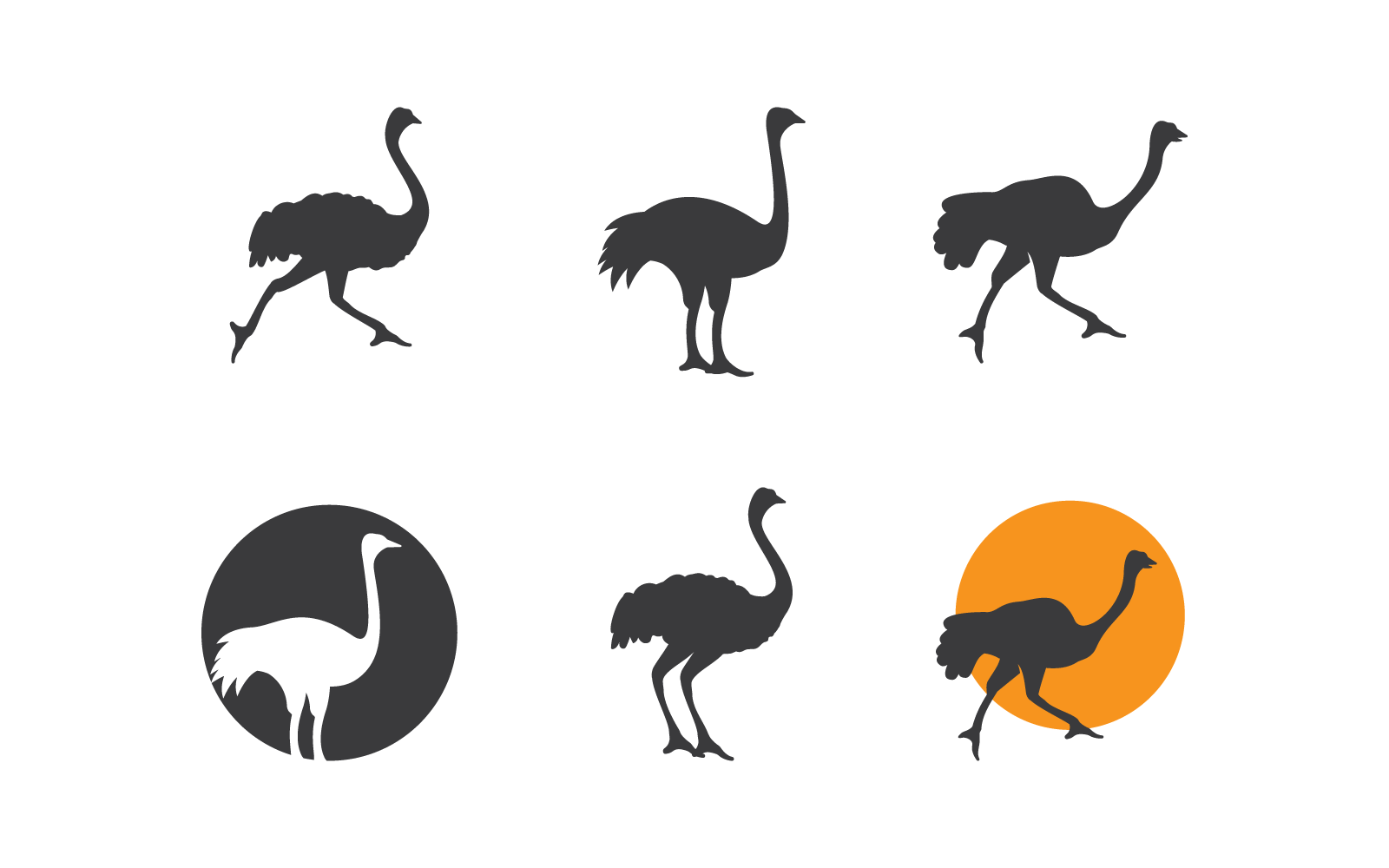 Ostrich logo vector design