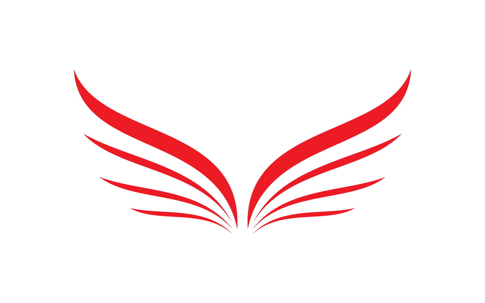 Wing illustration logo vector design Logo Template