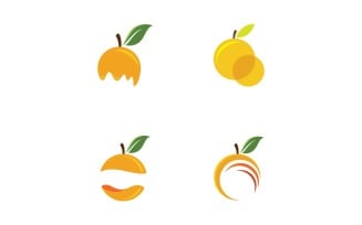 Orange Fresh Fruit Vector Logo Design Template V5