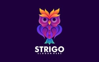 Vector Owl Colorful Logo Design