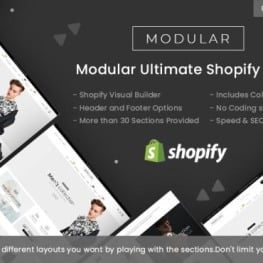 Modular Multipurpose Shopify Theme # 100365