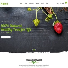 Kalo Health Organic Shopify Theme #110969