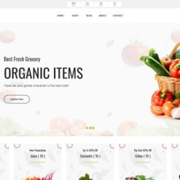 Agronic Organic Shop Shopify Theme #115716