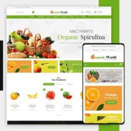 Organic House Store Shopify Theme # 116422