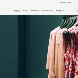 BTPL Fashion Shopify Theme # 179269