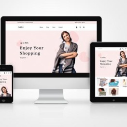 Tishfy Fashion Sections Shopify Theme # 222176