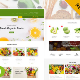Vegbowl Fresh Organic Store Shopify Theme #241022
