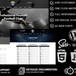 A professional football web design