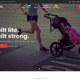 Ap Strollik Flexible Single Product Shopify Theme # 261995