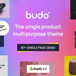 Budo Best Multipurpose Single Shopify Theme # 297220