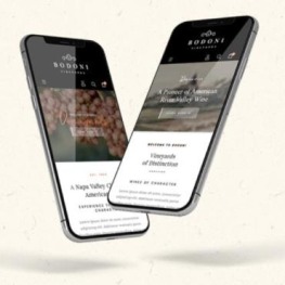 Winelry Drinks and Alcohol Restaurant Shopify Theme # 385245