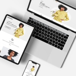 Baguri Jewelry And Accessories Shopify Theme # 387620
