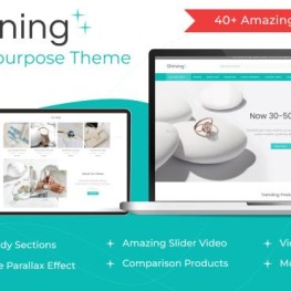 Shining Jewelry Accessories Fashion Shopify Theme # 396742