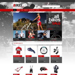 BMX Shopify Theme #48285