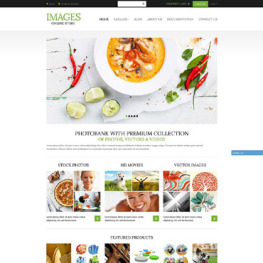 Art Photography Shopify Theme #51966