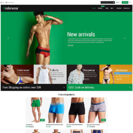Underwear Fashion Shopify Theme #52483